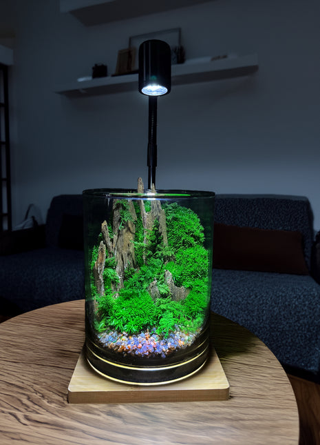 Futuristic terrarium with glowing interior on a wooden table