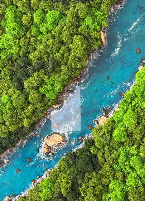 Aerial view of a river flowing through a lush green forest