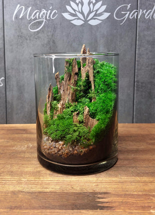 Terrarium with moss and wood on a wooden surface, branded 'Magic Garden' in the background.