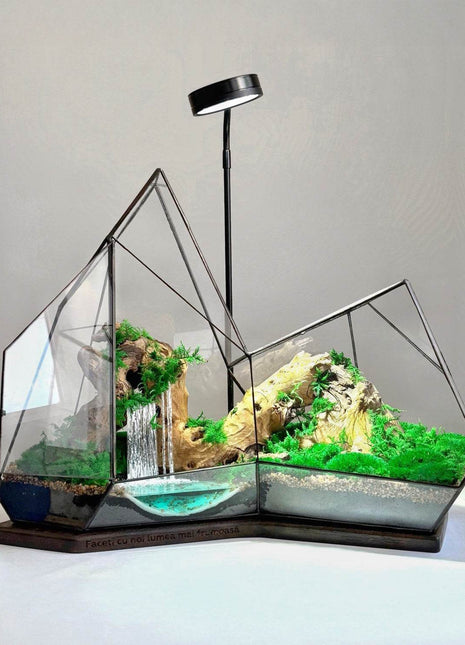 Mountain Waterfall Terrarium with Moss and Lamp – Large Glass Display - MagicGardens