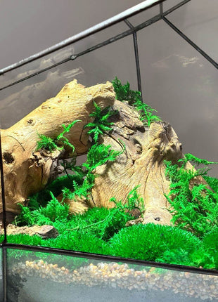 Mountain Waterfall Terrarium with Moss and Lamp – Large Glass Display - MagicGardens