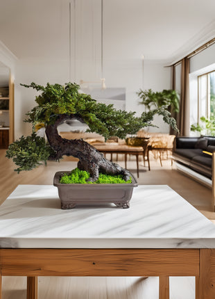 large preserved juniper bonsai home decor styling