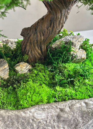 stabilized moss bonsai detailed close up texture with stones and trunk natural green decor