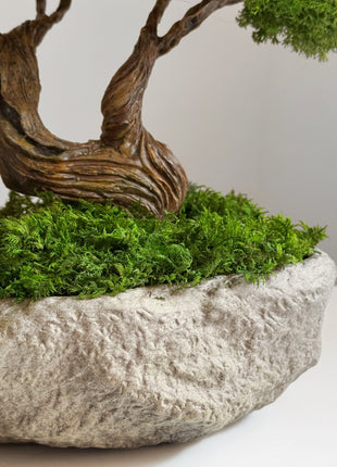 stabilized moss bonsai base and stone pot detail