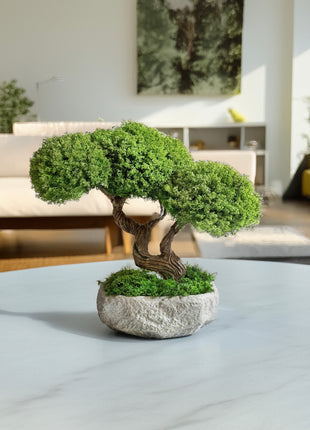 preserved moss bonsai Harmony Tree in stone bowl zen home decor