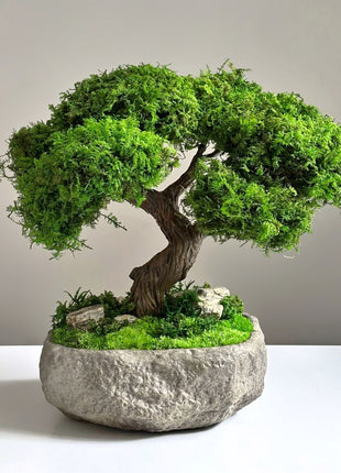 preserved moss bonsai Serenity Tree handmade Japanese style decor in stone bowl close up