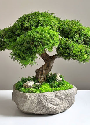 handmade preserved moss bonsai Serenity Tree tabletop decor with realistic moss foliage