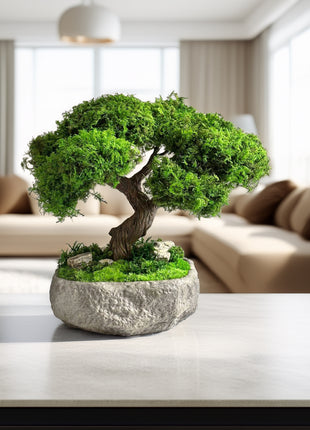 Bonsai tree in a pot on a table in a living room setting