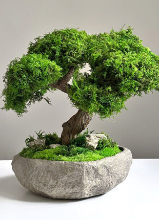 preserved moss bonsai Serenity Tree in natural stone style bowl handmade minimalist decor