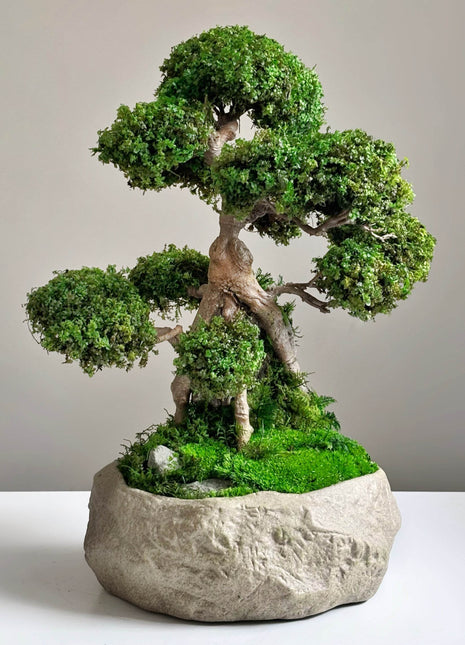 Handmade preserved moss bonsai Serenity Tree in stone-style pot — Japanese-inspired home and office decor