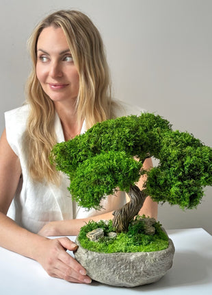 preserved moss bonsai Serenity Tree in stone bowl handmade decor in interior