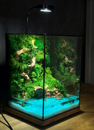 glowing pond and preserved moss landscape handmade rectangular terrarium