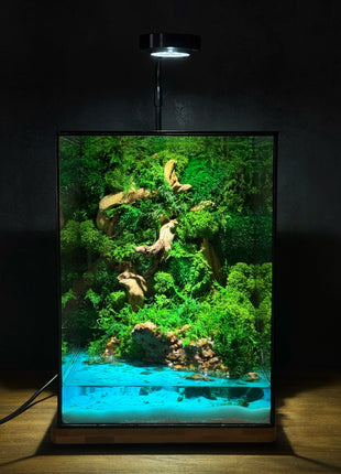 handmade preserved moss terrarium forest landscape glowing epoxy water effect
