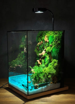 rectangular preserved moss terrarium with LED light and epoxy pond handmade decor