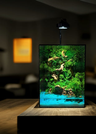 handmade preserved moss terrarium with LED lamp glowing pond rectangular glass decor