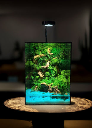 preserved moss terrarium with LED light and epoxy water effect on wooden base