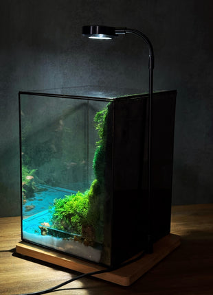 preserved moss terrarium with LED lamp on wooden stand and usb cable