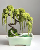 Handmade preserved willow bonsai tree 30×25 cm with cascading moss branches, stones and realistic water imitation base