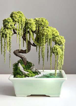 Handmade preserved willow bonsai tree 30×25 cm with cascading moss branches, stones and realistic water imitation base