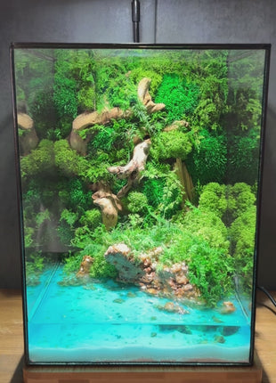 Video of a terrarium with an LED lamp and stabilized plants