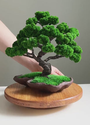 Handcrafted Preserved Moss Japanese Bonsai Tree, Low-Maintenance Zen Decor for Home or Office, Indoor Plants, Handmade Lucky Tree, Mom gifts