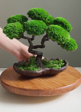 Handmade Lucky Tree Bonsai - Elegant Zen Décor, Minimalist Artificial Bonsai for Home, Preserved Moss Japanese Bonsai, Low-Maintenance Plant