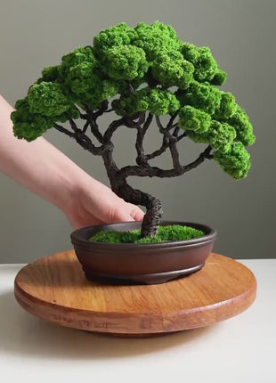Perfect Low-Maintenance Bonsai Tree - Elegant Japanese Table Home Décor, Modern Artificial Bonsai , Preserved Moss Tree, Best Gift For Mom