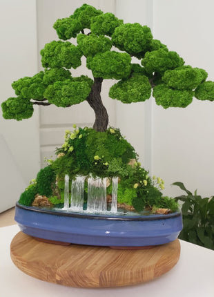 Magic Gardens customer photos and reviews of Mountain Harmony bonsai with preserved moss and waterfall