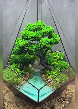 Terrarium crystal drop with preserved moss
