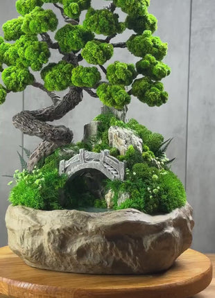 Unique Preserved Moss Bonsai Tree with Miniature Bridge & Pond – Zen Fairy Garden Decor, Lucky Tree, Best Gift For Mom, Table Home Decor