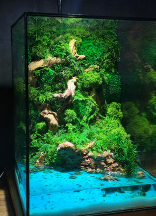 preserved moss landscape with driftwood and glowing pond inside rectangular glass