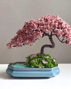Bonsai tree with pink blossoms in a blue pot on a white surface with a gray background