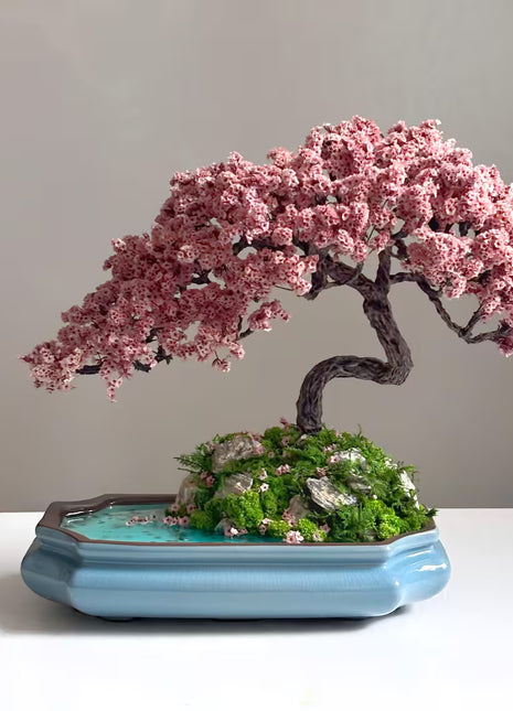 Bonsai tree with pink blossoms in a blue pot on a white surface with a gray background