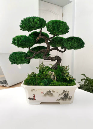 Bonsai with stabilized plants Emperor's Garden | Ceramic planter - MagicGardens