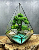 Crystal geometric bonsai tree terrarium with preserved moss - MagicGardens