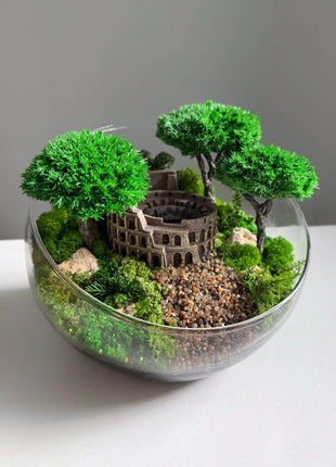 Terrarium in a glass bowl with preserved bonsai trees and Colosseum Mini Landscape - MagicGardens