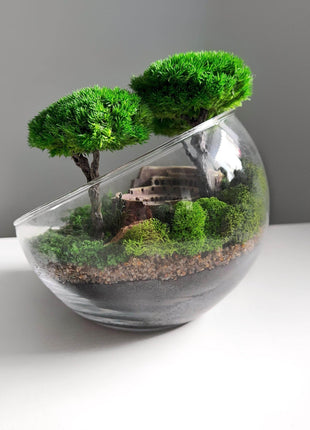 Terrarium in a glass bowl with preserved bonsai trees and Colosseum Mini Landscape - MagicGardens