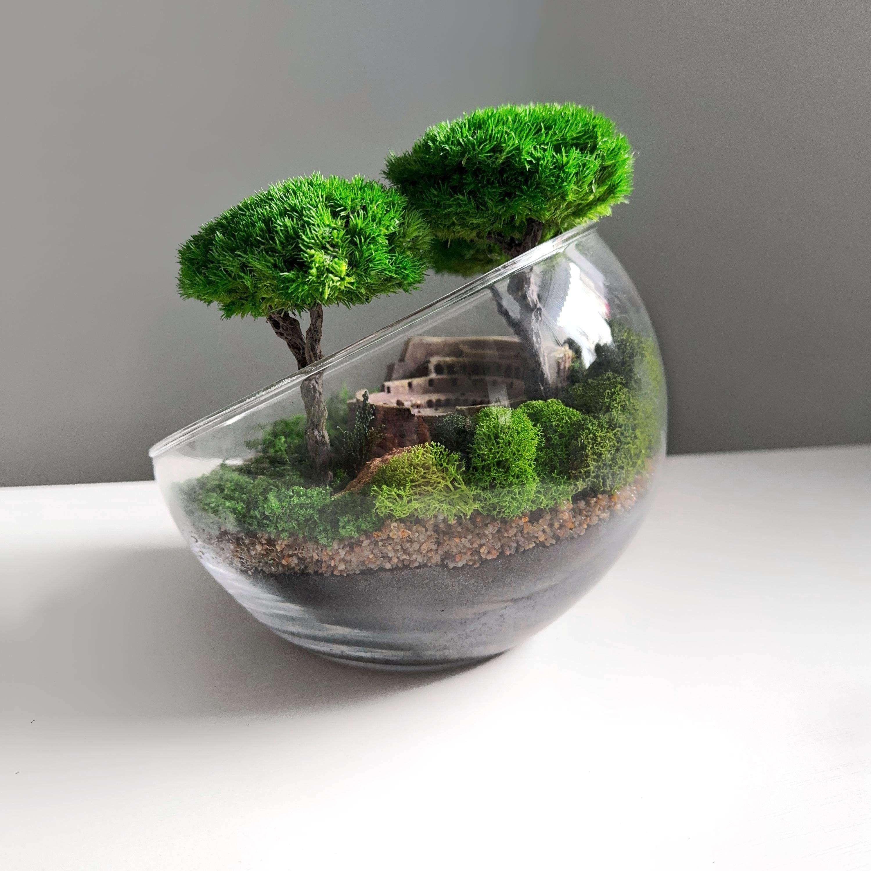 bonsai tree in glass bowl Terrarium in a glass bowl with preserved bonsai trees and Colosseum Mini Landscape