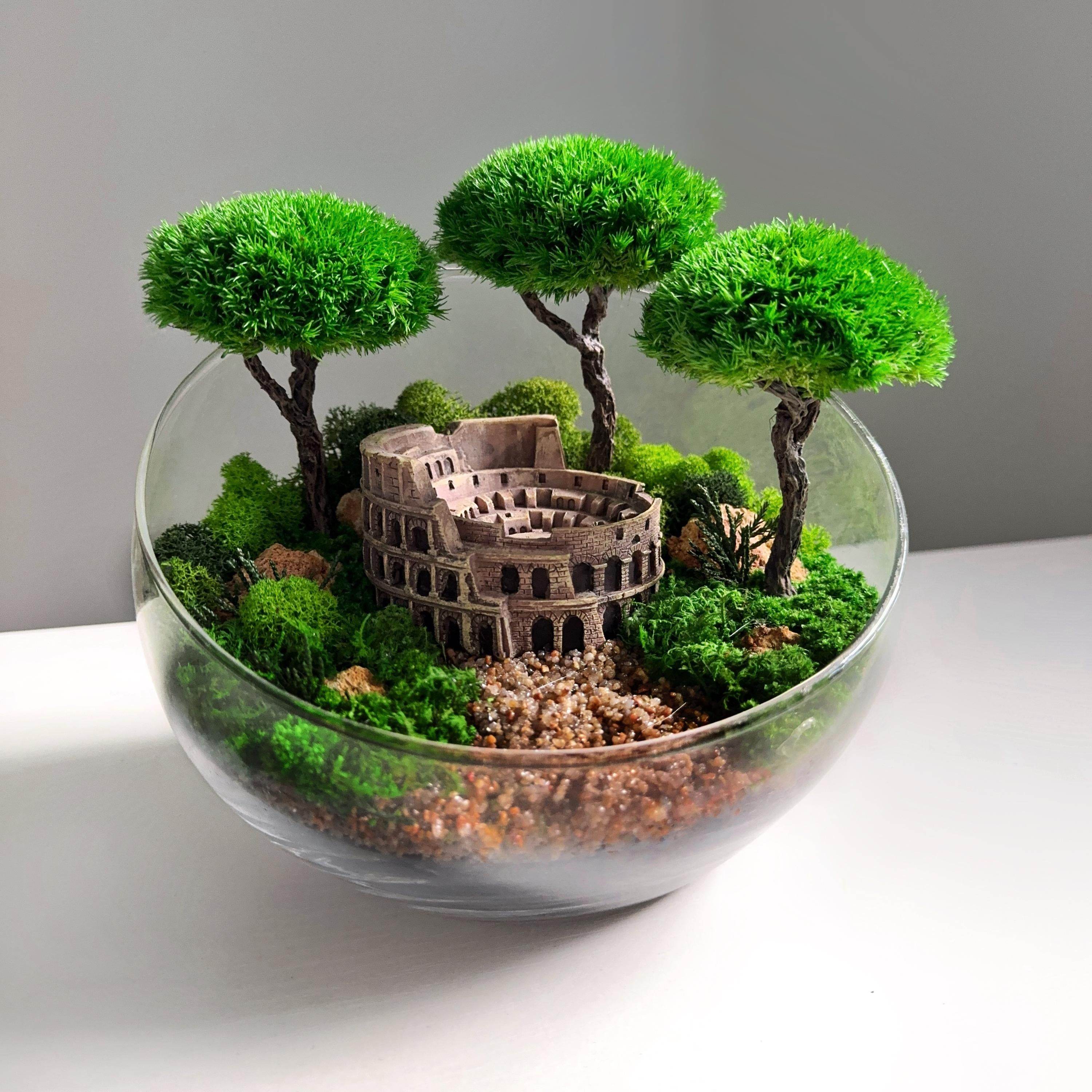 bonsai tree bowl Terrarium in a glass bowl with preserved bonsai trees and Colosseum Mini Landscape
