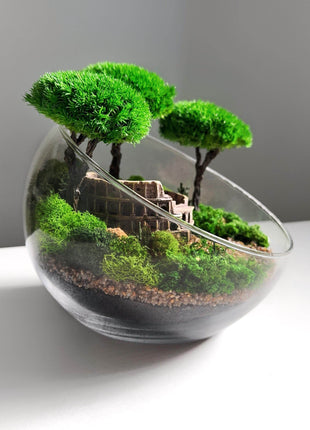 Terrarium in a glass bowl with preserved bonsai trees and Colosseum Mini Landscape - MagicGardens