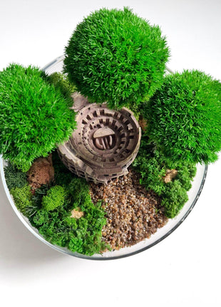 Terrarium in a glass bowl with preserved bonsai trees and Colosseum Mini Landscape - MagicGardens
