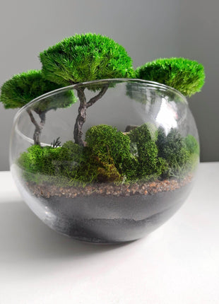 Terrarium in a glass bowl with preserved bonsai trees and Colosseum Mini Landscape - MagicGardens
