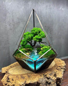 Crystal geometric bonsai tree terrarium with preserved moss - MagicGardens