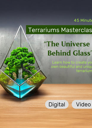 terrarium masterclass online video course how to make moss terrarium with waterfall