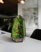 Terrarium in a crystal shape with preserved moss and driftwood Minimalism - MagicGardens