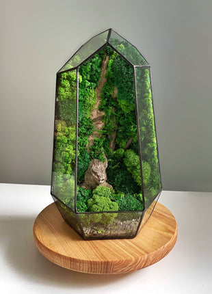 Terrarium in a crystal shape with preserved moss and driftwood Minimalism - MagicGardens