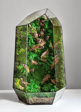 Terrarium in a crystal shape with preserved moss and driftwood Minimalism - MagicGardens