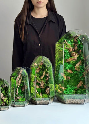 Terrarium in a crystal shape with preserved moss and driftwood Minimalism - MagicGardens