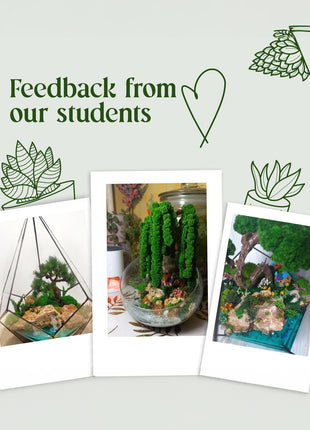 terrarium masterclass students results handmade moss terrariums and bonsai created after online course