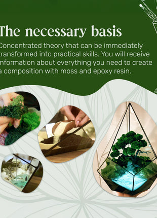 terrarium lesson theory and practice work with moss sand epoxy and natural materials